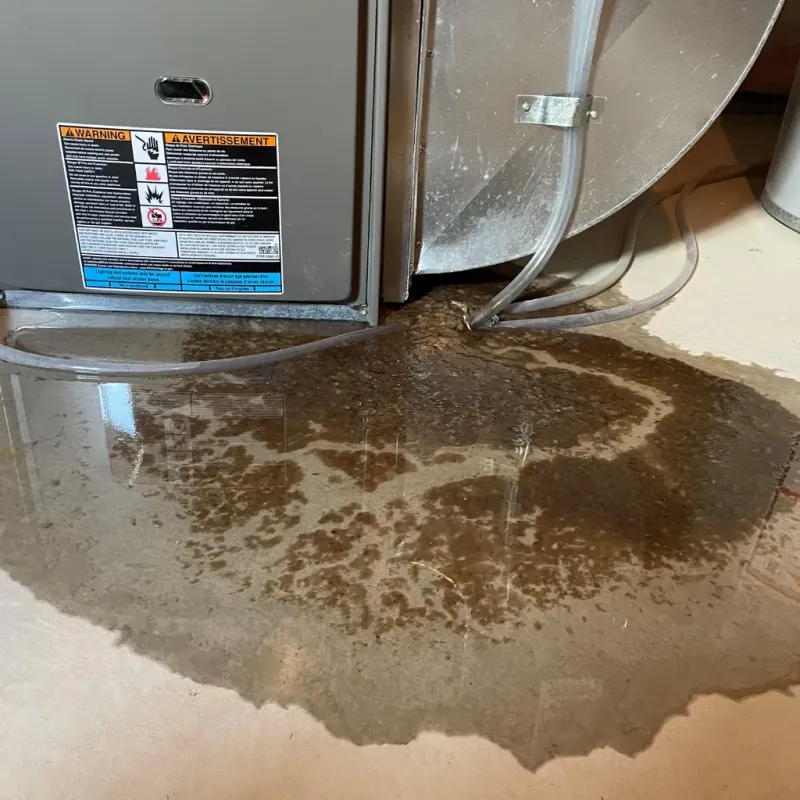 Appliance Leak Cleanup in Five Points, OH