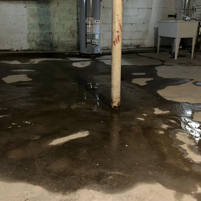 Emergency Water Extraction And Removal in Five Points, OH